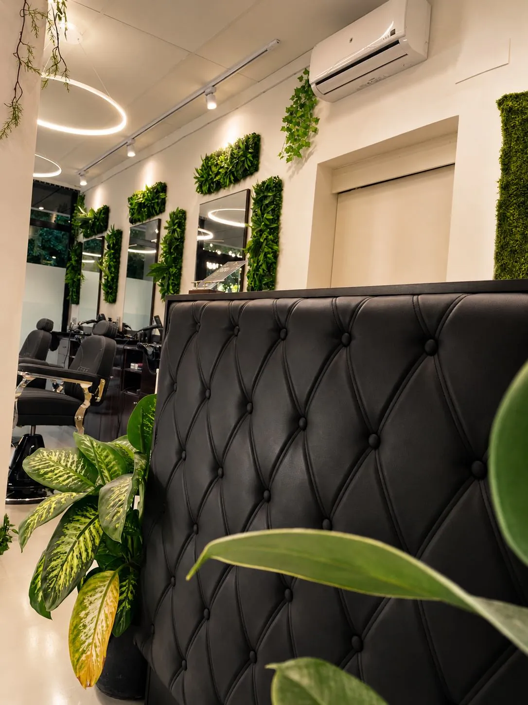 Detalle del ambiente y la vegetación en GUAI XPERIENCE